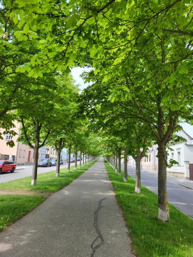 Alleeblick Ballenstedt Eksteriør bilde