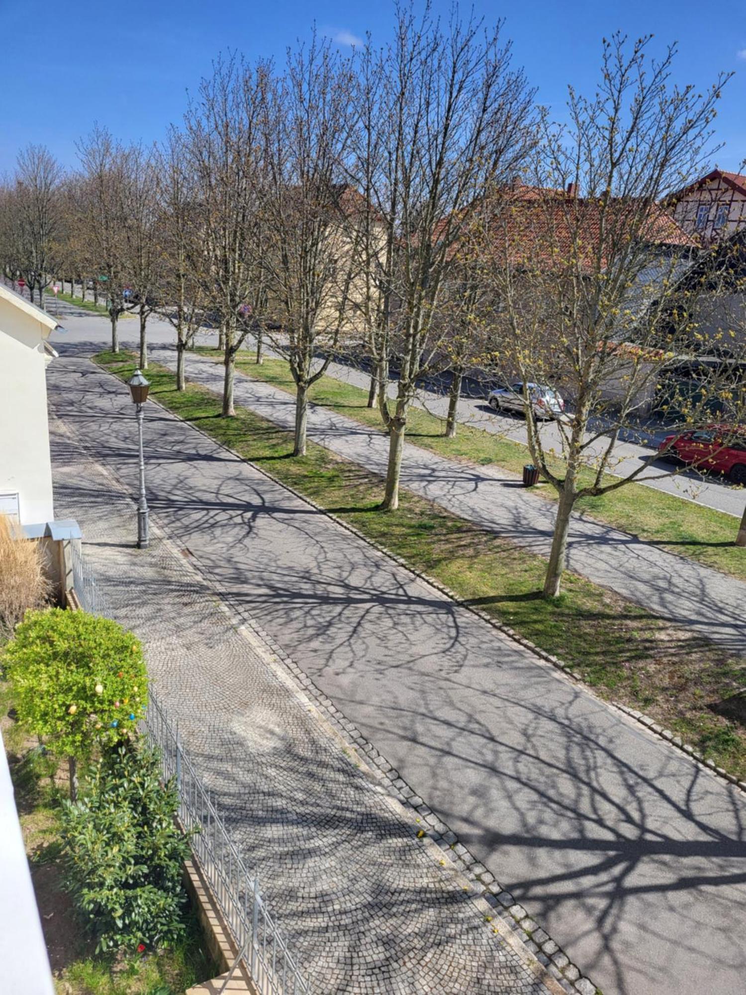 Alleeblick Ballenstedt Eksteriør bilde